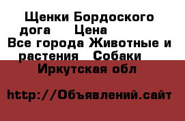 Щенки Бордоского дога.  › Цена ­ 30 000 - Все города Животные и растения » Собаки   . Иркутская обл.